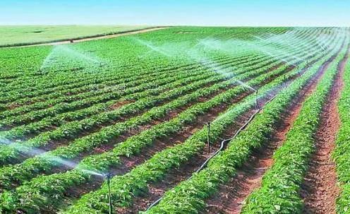 逼流水了农田高 效节水灌溉